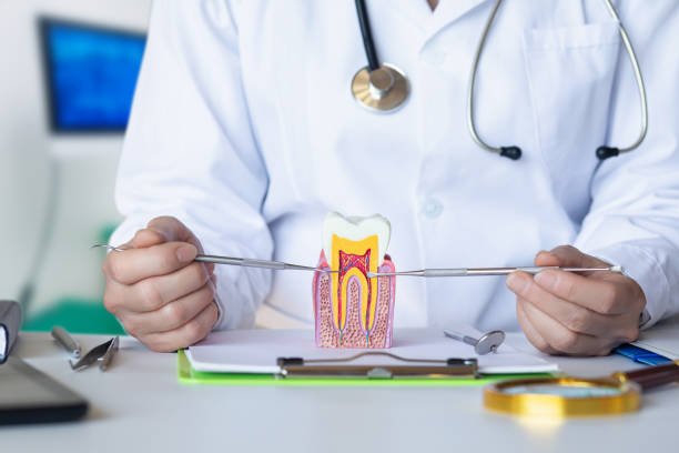 Best Emergency Dentist for Knocked-Out Tooth in Buena, NJ